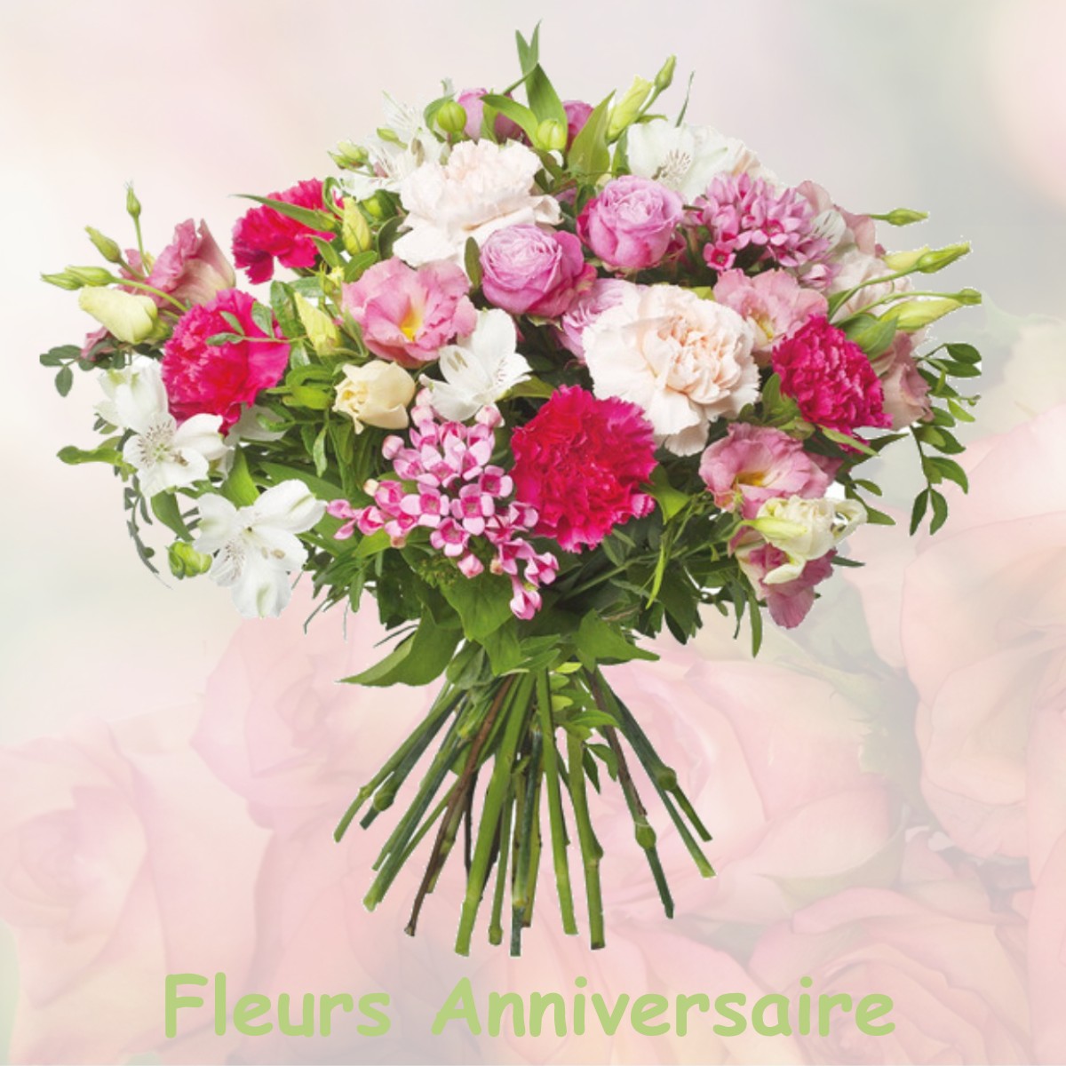 fleurs anniversaire MURVAUX